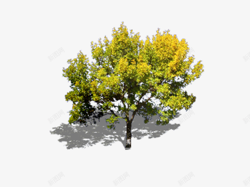 园艺png免抠素材_新图网 https://ixintu.com 园艺 景观 植物树 造型