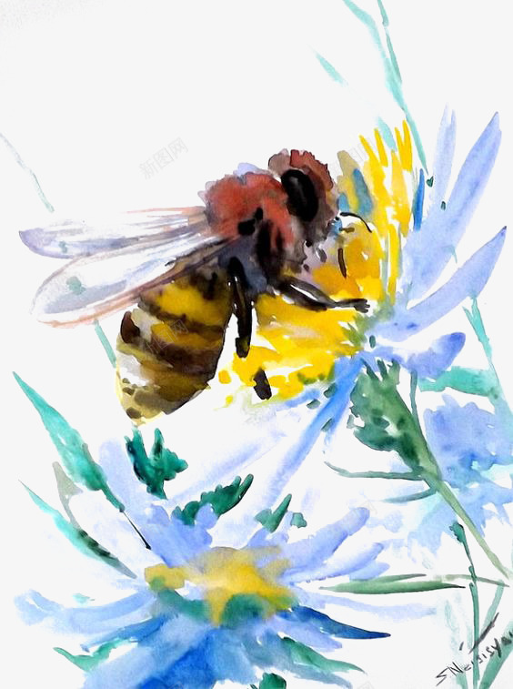 采蜜的蜜蜂png免抠素材_新图网 https://ixintu.com 昆虫 水彩 花朵 蜜蜂 黄色