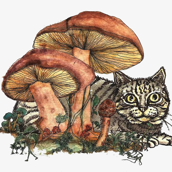 复古蘑菇png免抠素材_新图网 https://ixintu.com 卡通 手绘 插画 植物 猫咪 蘑菇