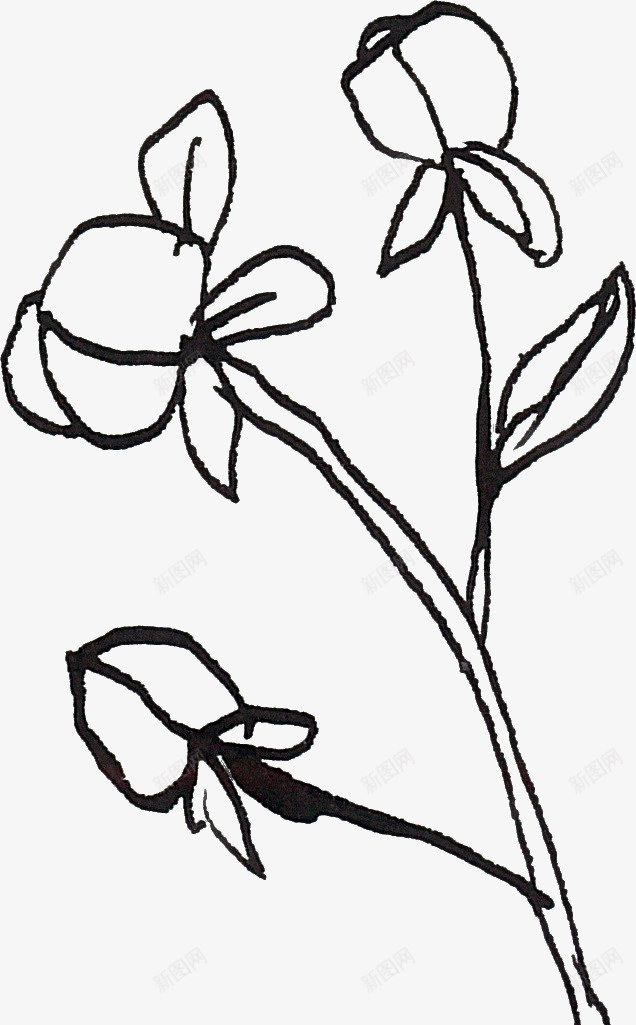 线描花朵png免抠素材_新图网 https://ixintu.com 线描植物 线条 花卉 黑色