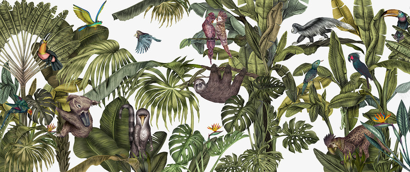亚热带植物动物图案背景花纹png免抠素材_新图网 https://ixintu.com 亚热带植物 动物图案 背景花纹