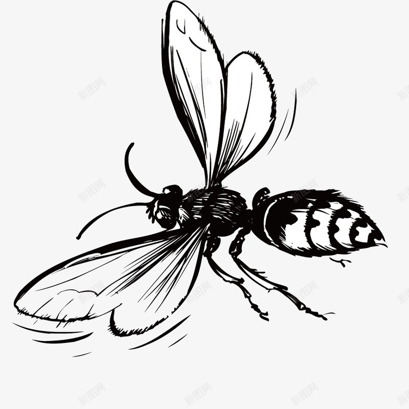 手绘蜜蜂png免抠素材_新图网 https://ixintu.com 手绘蜜蜂 手绘黄蜂 昆虫图片 蜜蜂 黄蜂