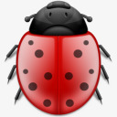错误动物昆虫瓢虫phuzionpng免抠素材_新图网 https://ixintu.com animal bug insect ladybird 动物 昆虫 瓢虫 错误
