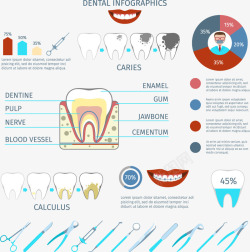 牙科知识牙科相关知识介绍矢量图高清图片