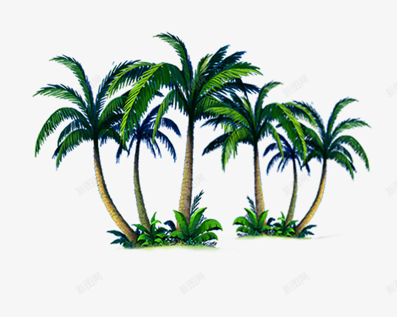 棕榈树小岛png免抠素材_新图网 https://ixintu.com 小岛 树 棕榈树小岛 热带