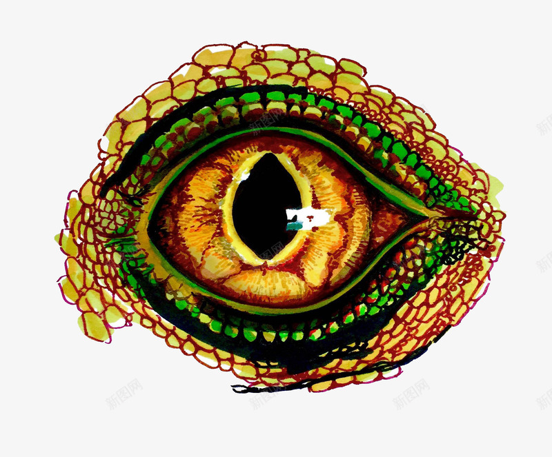 一只眼睛创意图案png免抠素材_新图网 https://ixintu.com 创意 效果 眼镜 素材