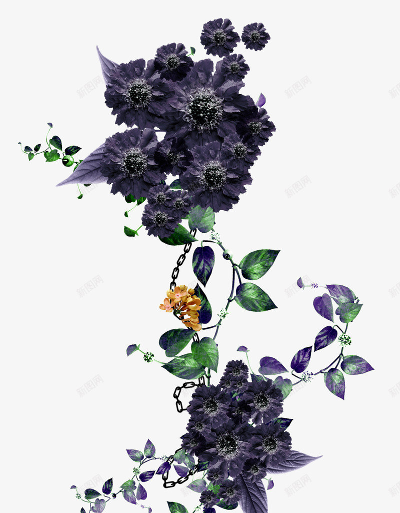 花卉装饰贴图png免抠素材_新图网 https://ixintu.com 植物 花卉 蓝紫色