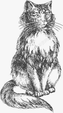 动物铅笔画手绘猫咪高清图片
