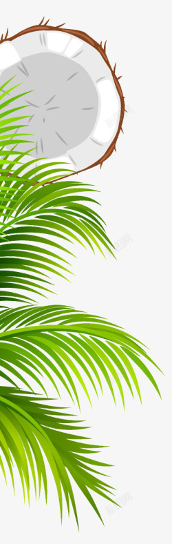 热带卡通椰子树叶素材