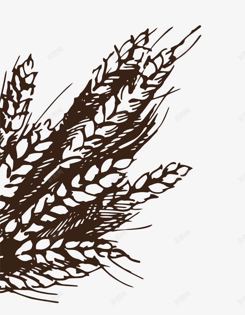 卡通手绘小麦麦穗png免抠素材_新图网 https://ixintu.com 卡通 小麦 庄稼 手绘 麦穗