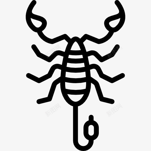天蝎座图标png_新图网 https://ixintu.com 刺 动物 危险 掠夺 昆虫 毒药