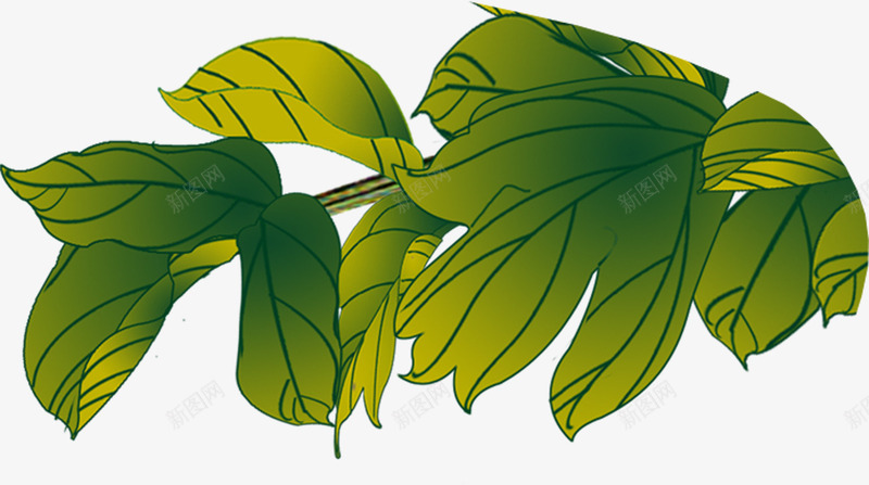 绿色树叶造型寓意png免抠素材_新图网 https://ixintu.com 寓意 树叶 绿色 设计 造型