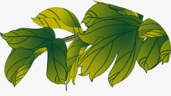 绿色树叶造型寓意素材