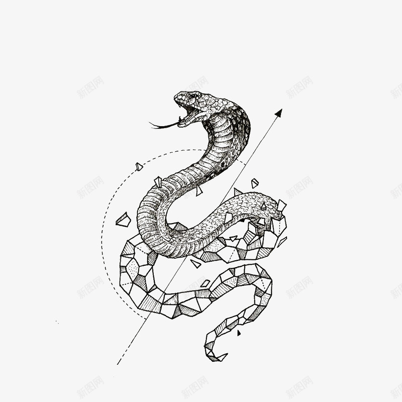 蛇png免抠素材_新图网 https://ixintu.com 眼镜蛇 蛇 铅绘 黑色