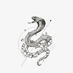 黑色眼镜蛇蛇高清图片
