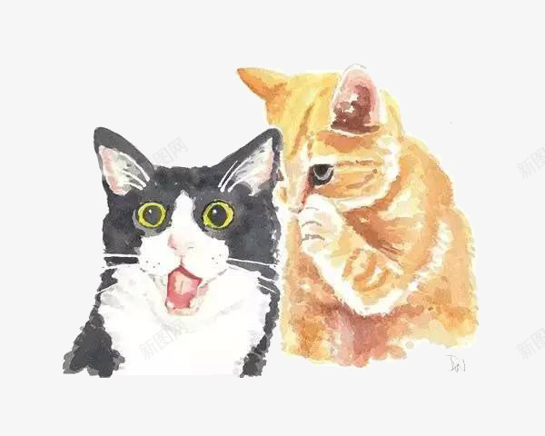 两只小猫咪png免抠素材_新图网 https://ixintu.com PNG素材 动物 可爱 小猫咪