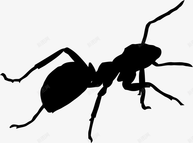 蚂蚁爬虫图标png_新图网 https://ixintu.com 昆虫蚂蚁 爬虫 蚂蚁 蝼蚁 黑色 黑色蚂蚁 黑蚂蚁