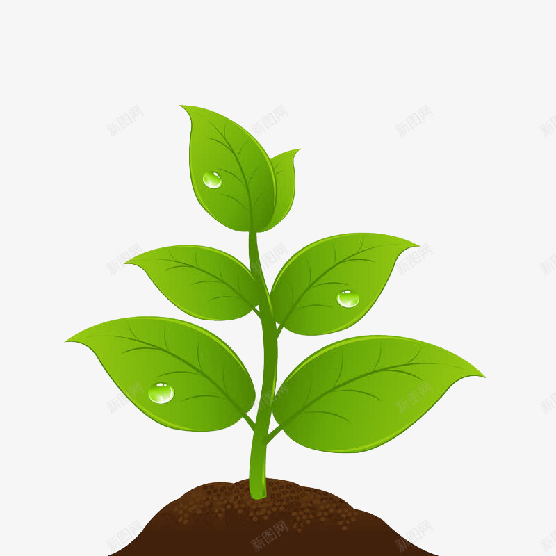 绿植成长png免抠素材_新图网 https://ixintu.com 卡通 发芽 成熟 成长之路 手绘 植物 简约 绿植 长大