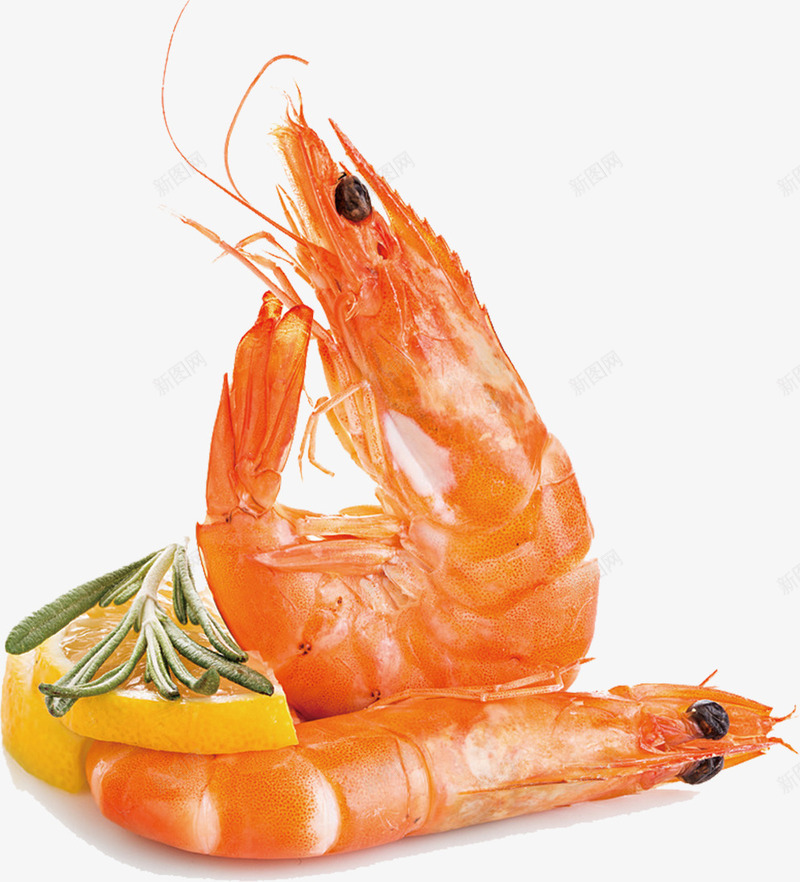 美味的大虾png免抠素材_新图网 https://ixintu.com 作料 大虾 橘黄色大虾 水产 海产品 烹饪 美食 食物