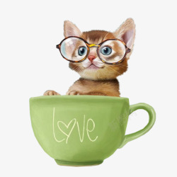 眼镜茶杯可爱茶杯猫高清图片