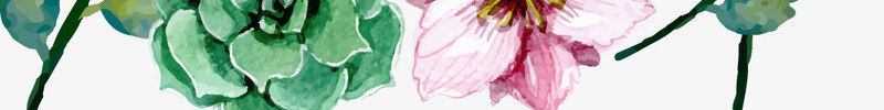 春季彩色花卉植物png免抠素材_新图网 https://ixintu.com 卡通植物 彩色花卉 文案背景 春季装饰