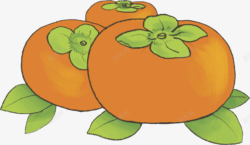 手绘柿子png免抠素材_新图网 https://ixintu.com 卡通 叶子 果子 柿子 橘色 水彩 水果 绿叶 食物