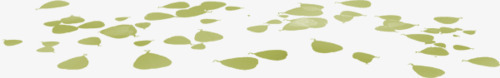 漂浮的绿萍png免抠素材_新图网 https://ixintu.com 水生植物 绿色 绿萍 藻类植物