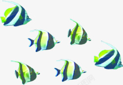 扁平鱼群手绘扁平化鱼群热带鱼高清图片
