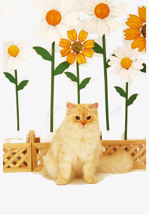 手绘猫咪和植物png免抠素材_新图网 https://ixintu.com 发呆 向日葵 植物 猫咪
