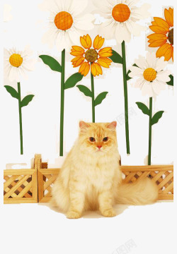手绘猫咪和植物素材