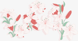 百合丝网花素材