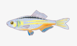 卡通热带鱼彩色小鱼素材