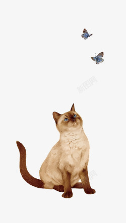 猫和蝴蝶矢量图素材
