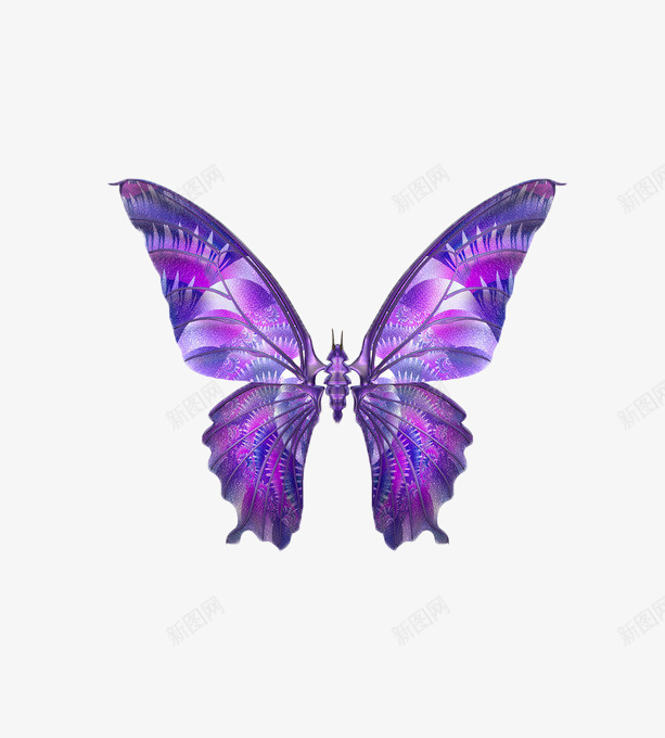 紫色的蝴蝶png免抠素材_新图网 https://ixintu.com 昆虫 素材 紫色 蝴蝶