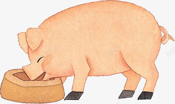 吃食的猪png免抠素材_新图网 https://ixintu.com 一只 卡通 可爱 吃食 小猪 手绘 简图 粉色