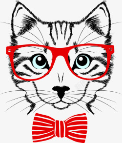 戴眼镜的猫素材