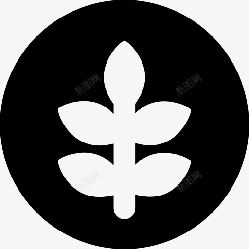 小麦图标png_新图网 https://ixintu.com 健康食品 圈 地图和国旗 符号 谷物 食品