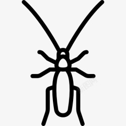 昆虫学蟑螂图标高清图片