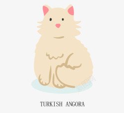 土耳其安哥拉猫土耳其安哥拉猫咪高清图片