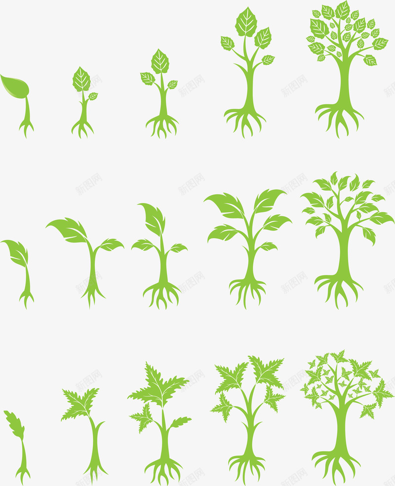 植物生长过程png免抠素材_新图网 https://ixintu.com 植物 生长过程 绿色