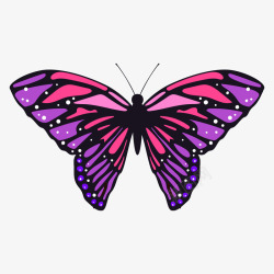 紫红色的点状蝴蝶素材