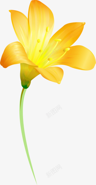黄色百合花花朵装饰png免抠素材_新图网 https://ixintu.com 百合花 花朵 装饰 黄色