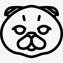 苏格兰折耳猫苏格兰折耳猫图标高清图片