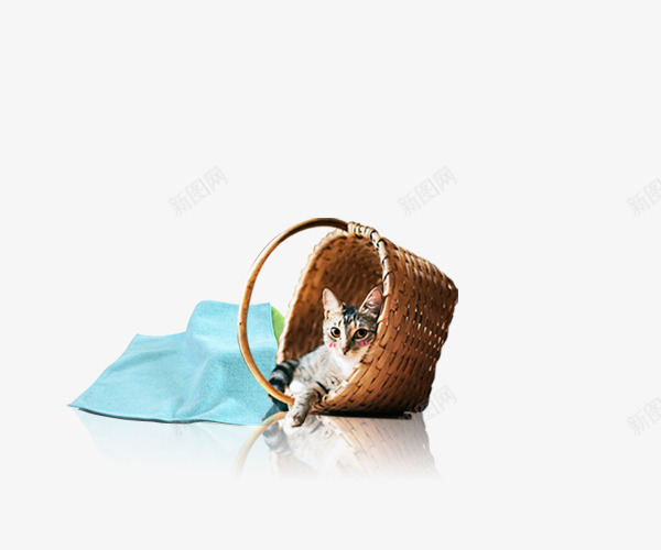 躺在篮子里的猫咪png免抠素材_新图网 https://ixintu.com 卡通 猫咪 篮子