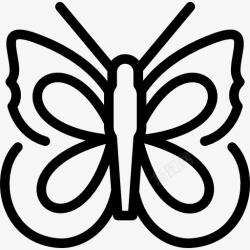 黑纹白蝶大理石白色蝴蝶图标高清图片