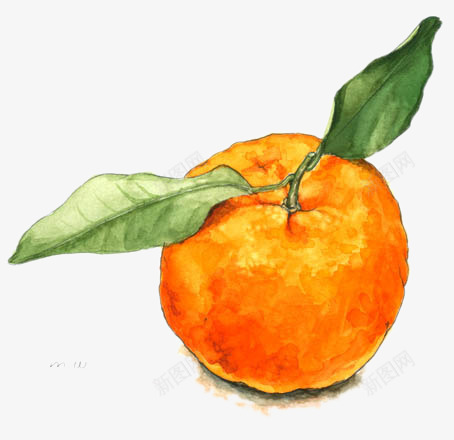 成熟的橘子png免抠素材_新图网 https://ixintu.com 成熟 手绘 橘子 水果 绿叶 黄色