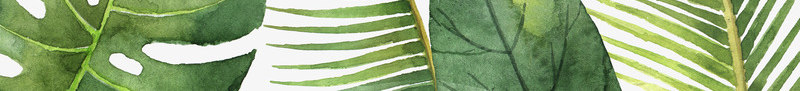 绿色叶子组成的边框png免抠素材_新图网 https://ixintu.com 叶子 叶子边框 手绘植物 植物 绿叶 绿叶边框 绿植