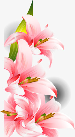 粉色喇叭花装饰素材