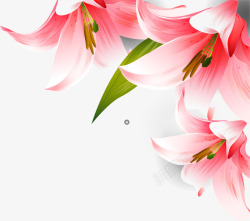 绿色的喇叭粉色喇叭花装饰高清图片