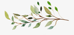 手绘水彩植物叶子图素材